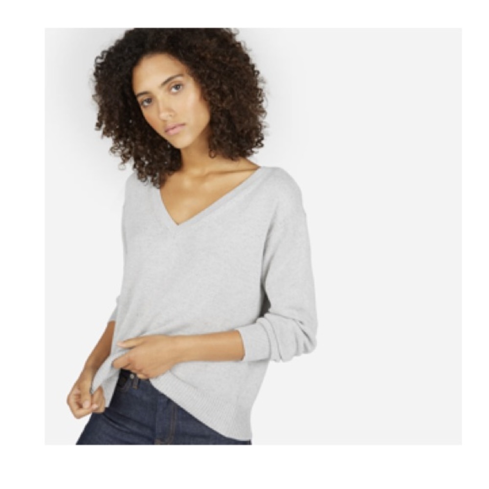 Everlane Cotton V-neck Sweater